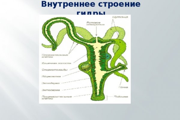 Кракен сайт маркетплейс ссылка